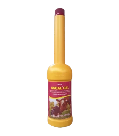 ascal gel