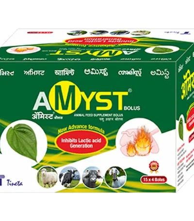 AMYST BOLUS