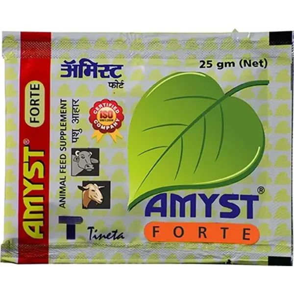AMYST FORTE