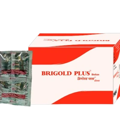 Brigold Bolus