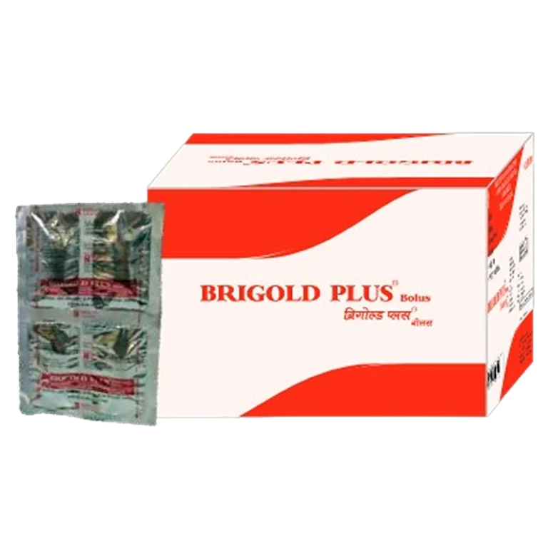 Brigold Bolus