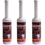 Calcimust Gel