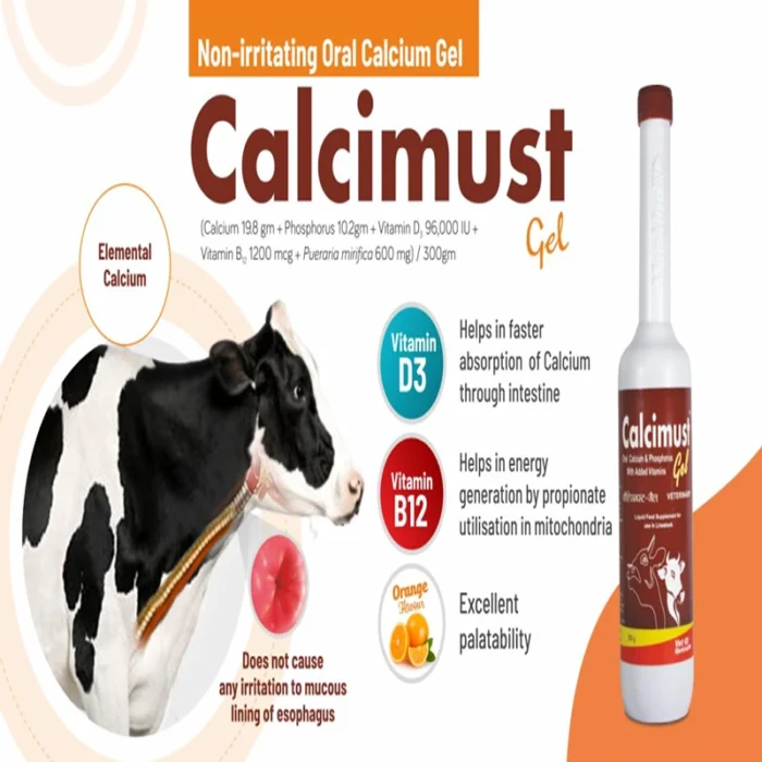 Calcimust Gel