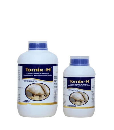 Tomix H