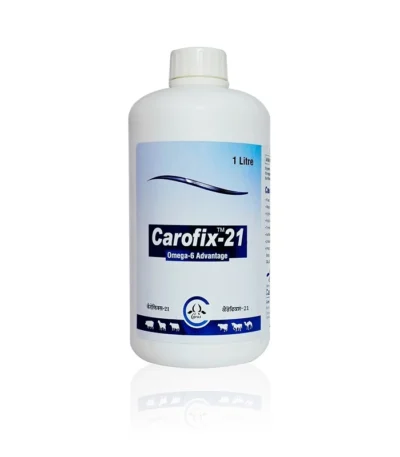 CAROFIX – 21
