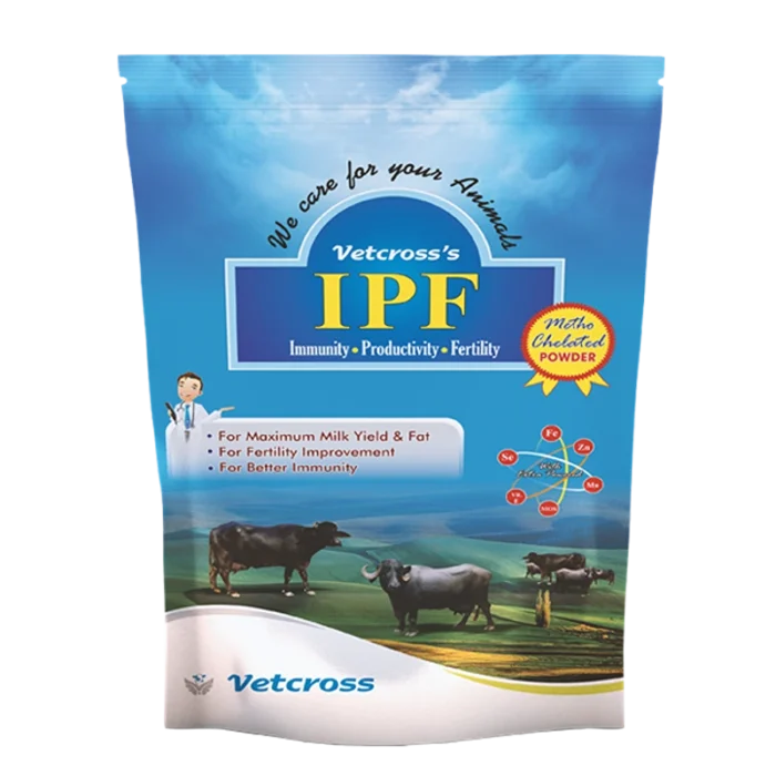 IPF POWDER