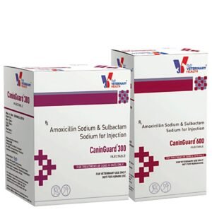 601163187 17949814818063207 1603495363761700978 n