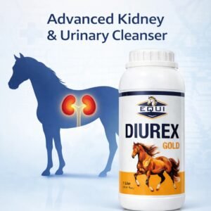 637006330 17956524093063207 8300223866782364353 n