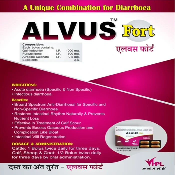 ALVUS Fort BOLUS