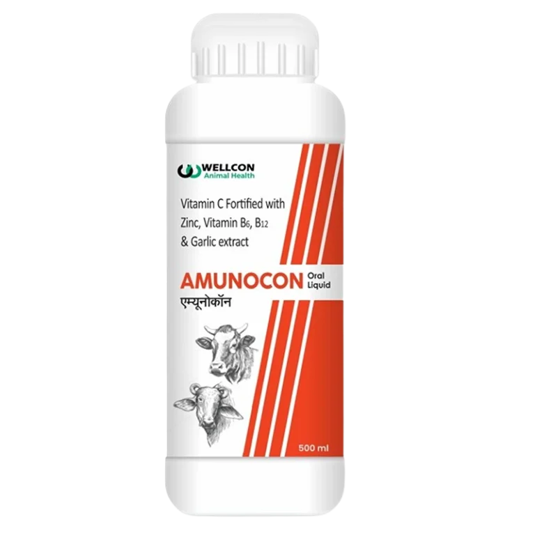 AMUNOCON ORAL LIQUID