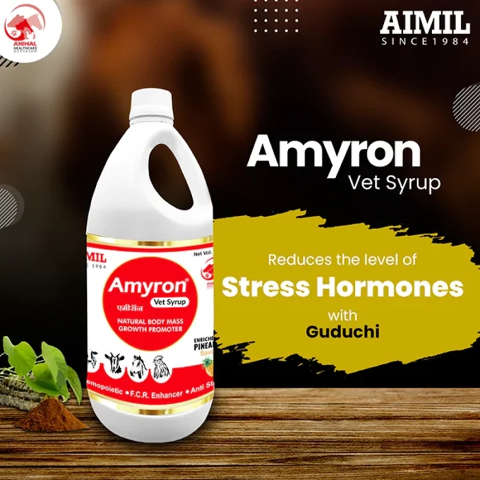 Amyron Vet Syrup