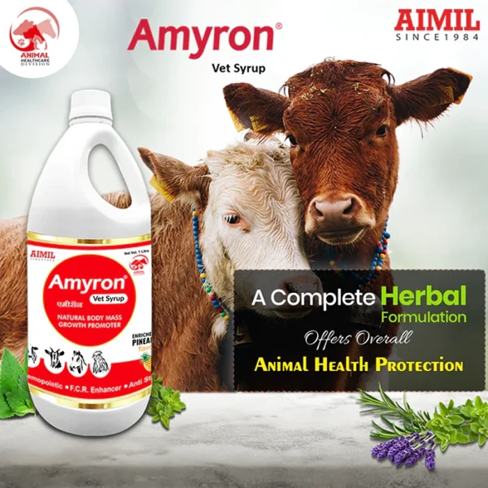 Amyron Vet Syrup