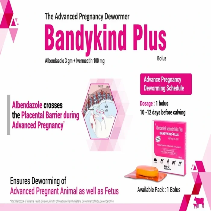 Bandykind Plus