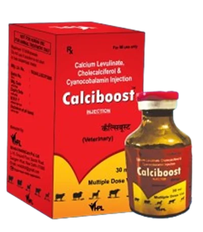 CALCIBOOST INJECTION