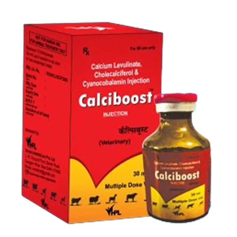 CALCIBOOST INJECTION