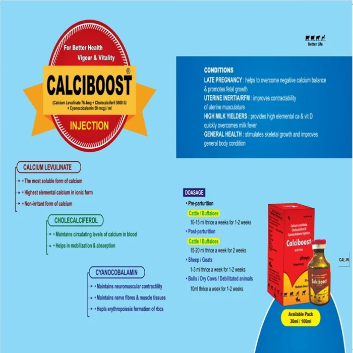 CALCIBOOST INJECTION