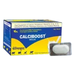 Calciboost Bolus