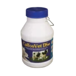 Calfosvet DS