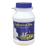 Calfosvet DS