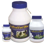 Calfosvet DS