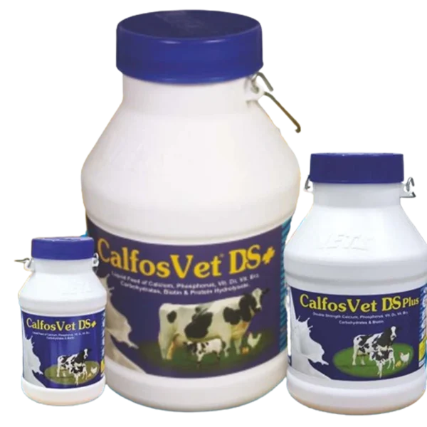 Calfosvet DS
