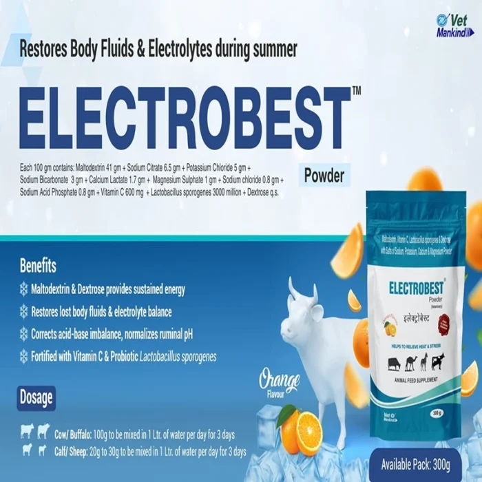 ELECTROBEST