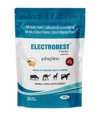 ELECTROBEST