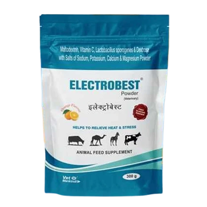 ELECTROBEST