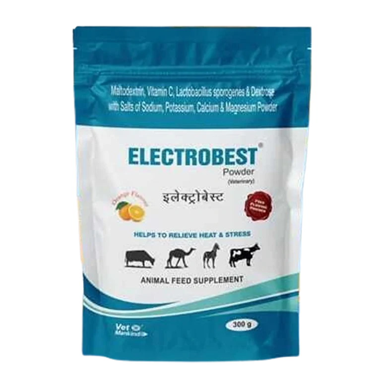 ELECTROBEST