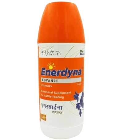 Enerdyna ADVANCE