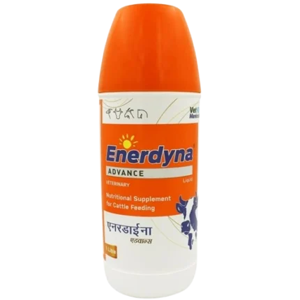Enerdyna ADVANCE