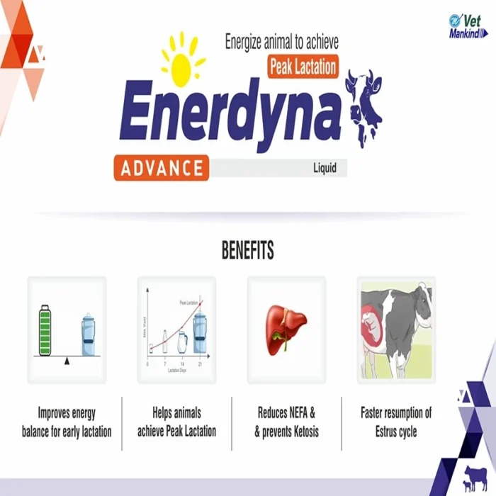 Enerdyna ADVANCE