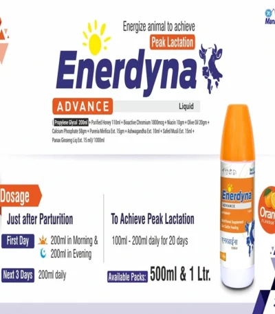 Enerdyna ADVANCE