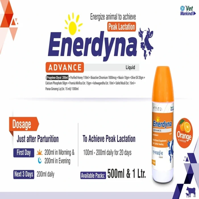 Enerdyna ADVANCE