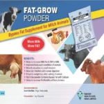 FAT-GROW POWDER