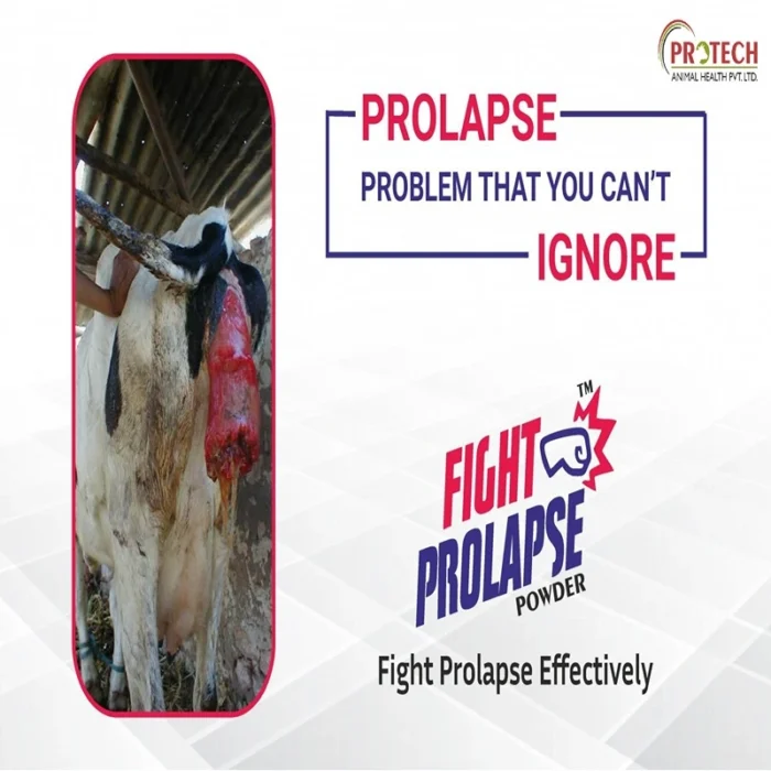 FIGHT PROLAPSE