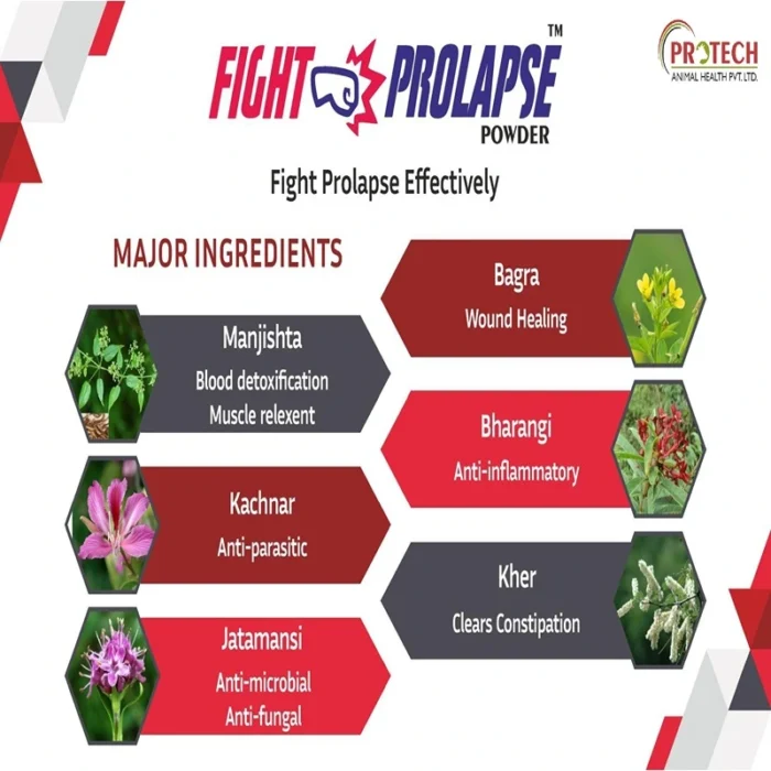 FIGHT PROLAPSE