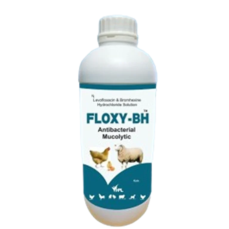 FLOXY-BH SOLUTION