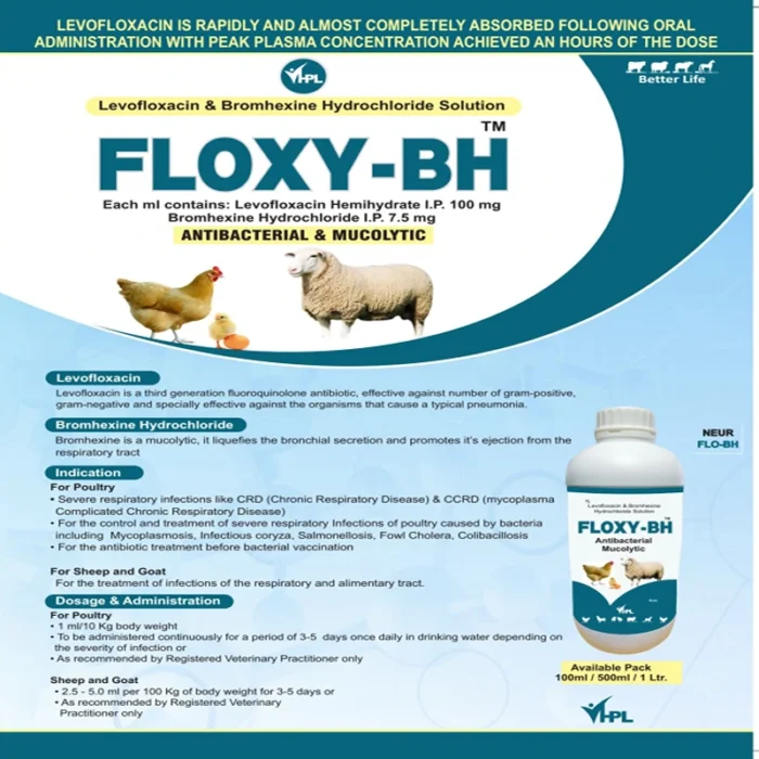 FLOXY-BH SOLUTION