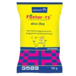 Foster-TS POWDER