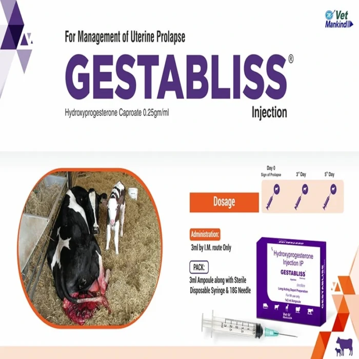 GESTABLISS