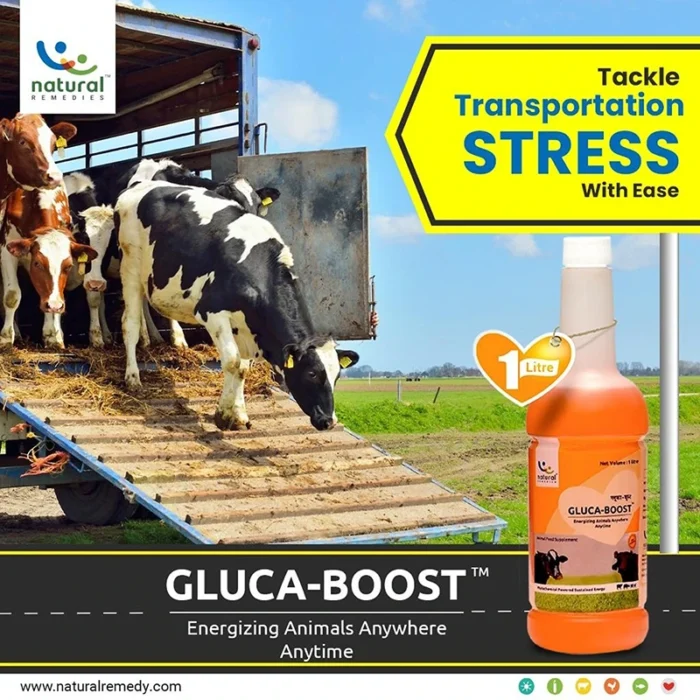 GLUCA-BOOST