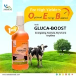 GLUCA-BOOST