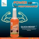 GLUCA-BOOST LIQUID - Image 11