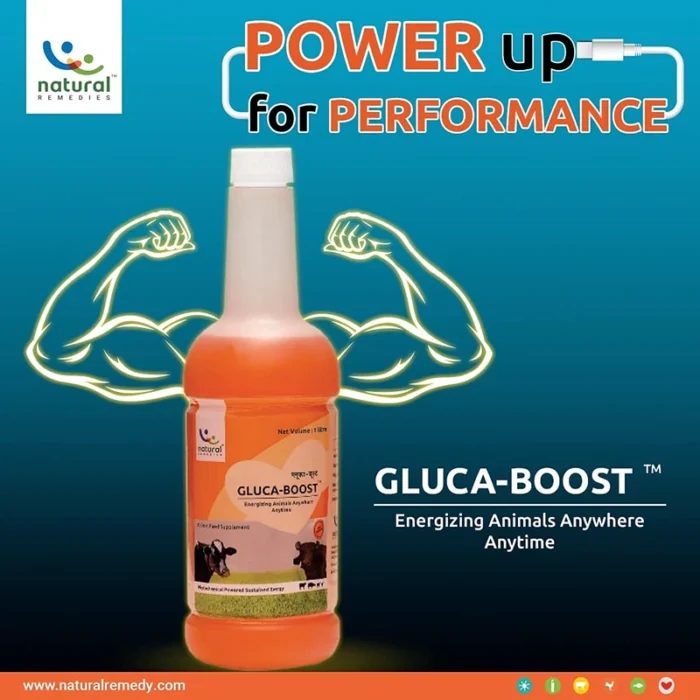 GLUCA BOOST 6