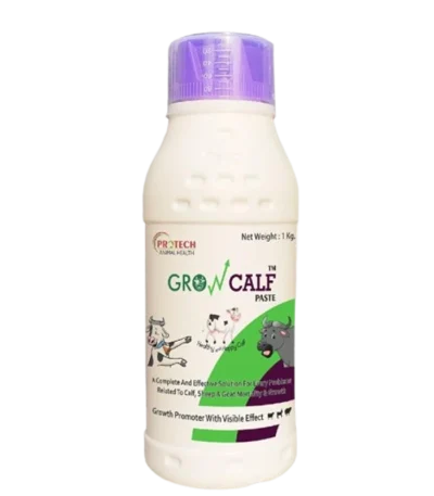 GROW CALF PASTE