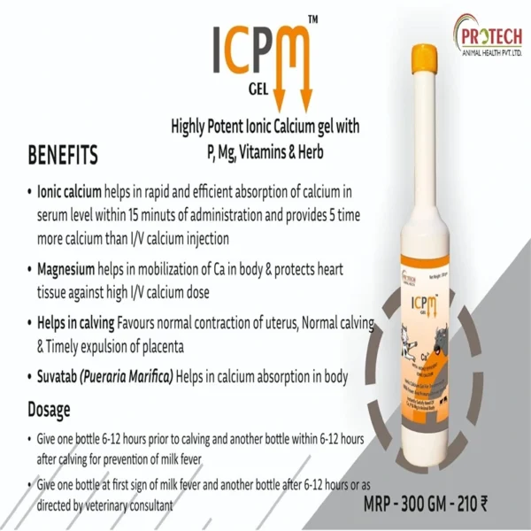 ICPM Gel