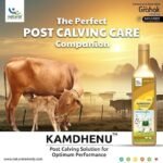 Kamdhenu Liquid