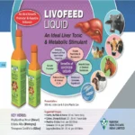 LIVOFEED LIQUID