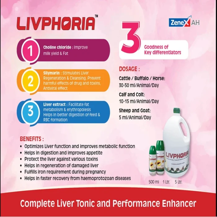 Livphoria LIQUID